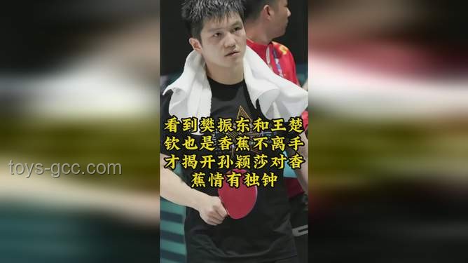 德国小城魅力探秘：樊振东为何情有独钟？